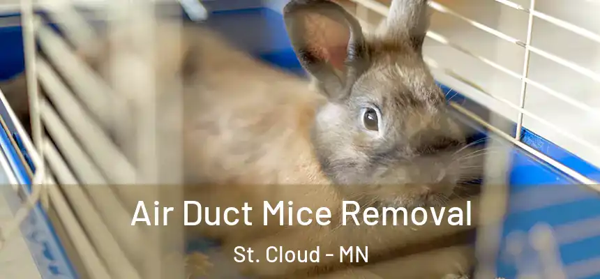 Air Duct Mice Removal St. Cloud - MN