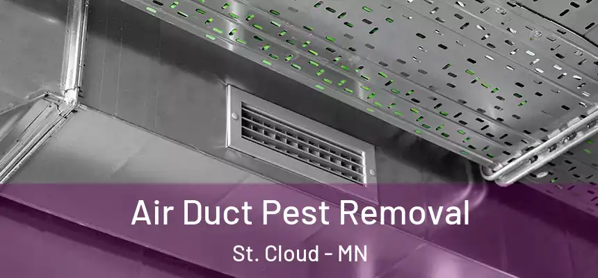 Air Duct Pest Removal St. Cloud - MN