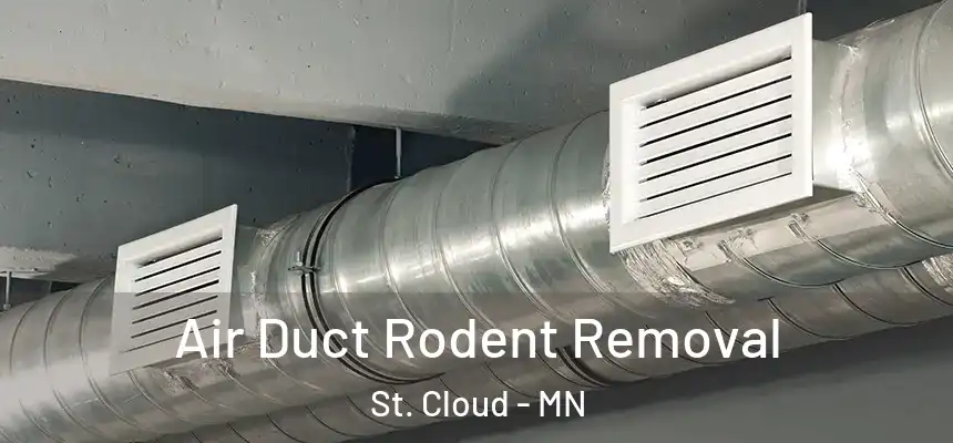 Air Duct Rodent Removal St. Cloud - MN