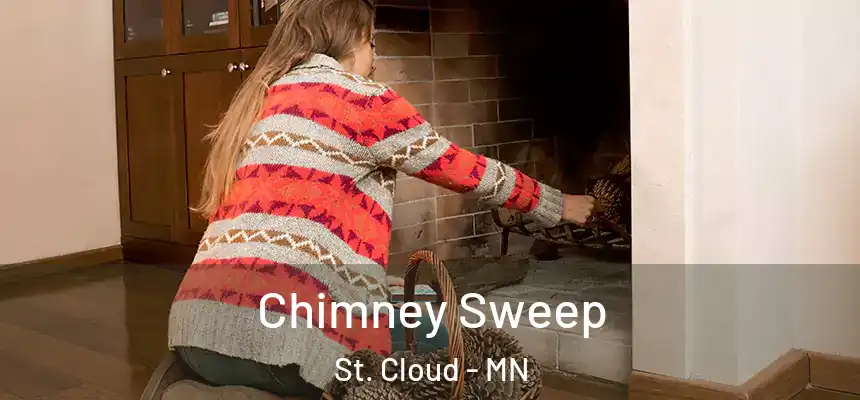 Chimney Sweep St. Cloud - MN