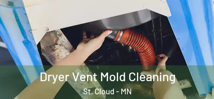 Dryer Vent Mold Cleaning St. Cloud - MN