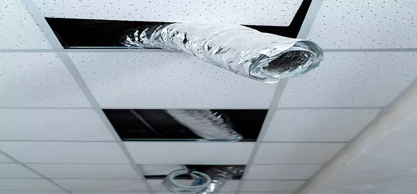 Our Air Duct Pet Hair Removal Services in St. Cloud, MN