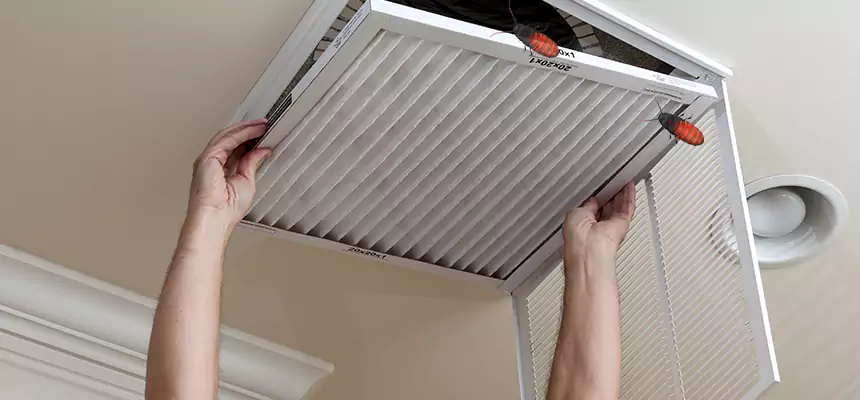 Our Insect Removal from Air Ducts Services in St. Cloud, MN