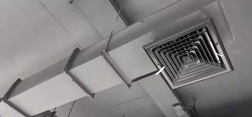 Our Rodent Droppings In Vents Services in St. Cloud, MN