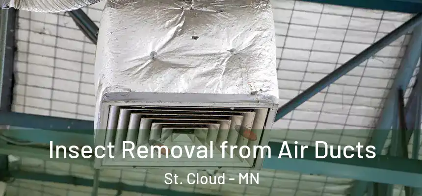 Insect Removal from Air Ducts St. Cloud - MN
