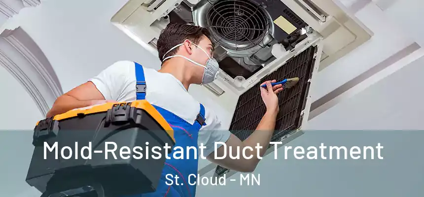 Mold-Resistant Duct Treatment St. Cloud - MN