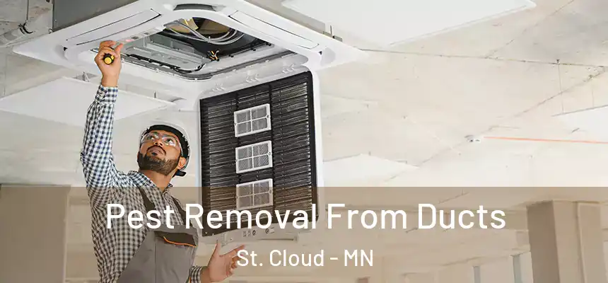 Pest Removal From Ducts St. Cloud - MN