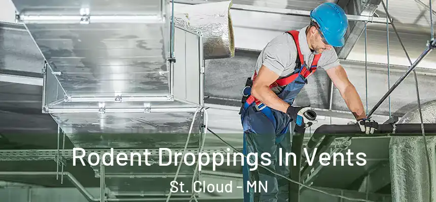 Rodent Droppings In Vents St. Cloud - MN