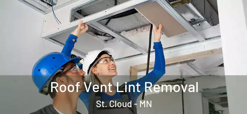 Roof Vent Lint Removal St. Cloud - MN