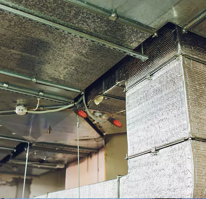 Why Homeowners & Businesses Trust Us in St. Cloud, MN?