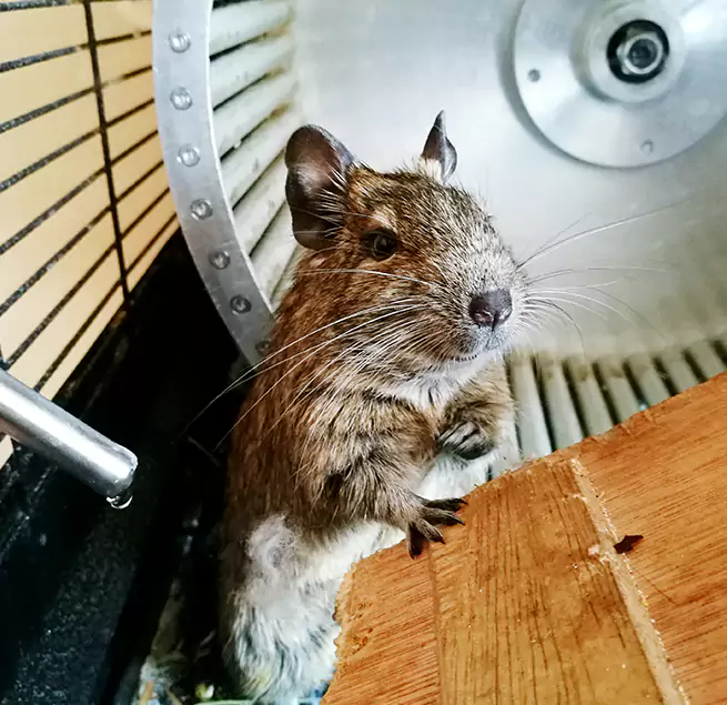 Why Homeowners & Businesses Trust Us St. Cloud, MN?