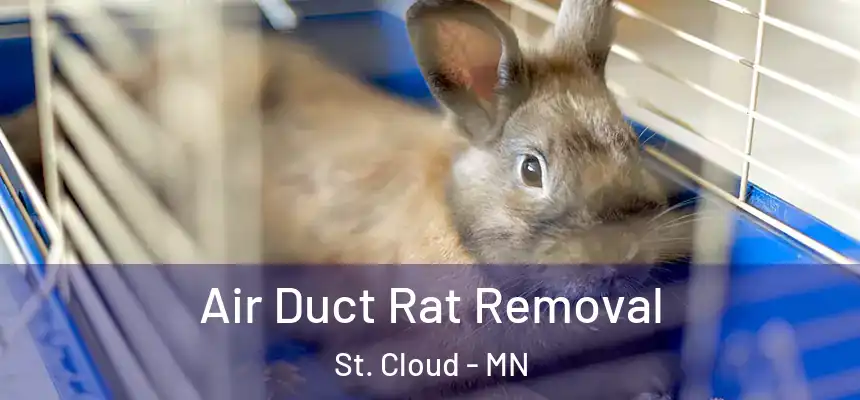 Air Duct Rat Removal St. Cloud - MN